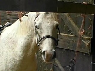 Dirty wild adult film in a barn for naughty farm girls