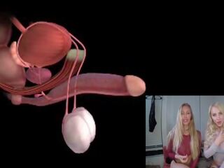 Male orgasme anatomy explained educational joi: free xxx clip 85