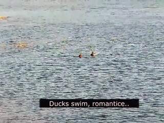 Romantický fajčenie na the pláž na láska s ducks: špinavé video 01 | xhamster