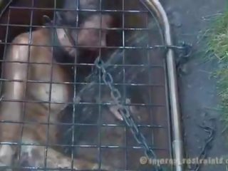 Caged stunner terpaksa kepada memberi menghisap zakar