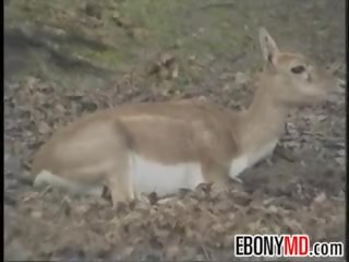 Perempuan hitam panggilan gadis geng terbentur dalam yang hutan