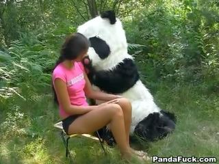 เพศ ใน the ป่า ด้วย a มหาศาล ของเล่น panda