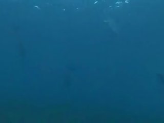 Underwater adult video